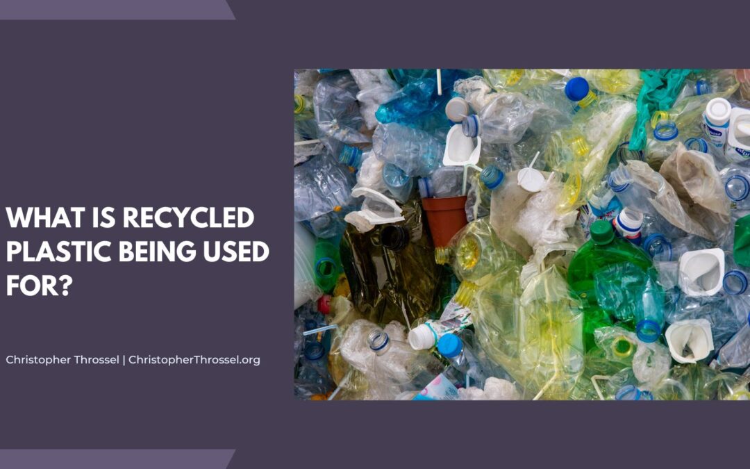 What Is Recycled Plastic Being Used For?